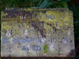 image of grave number 915751